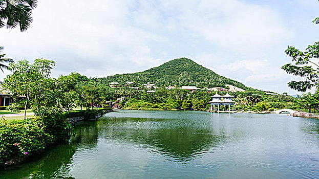 soi cau giai dac biet binh dinh
