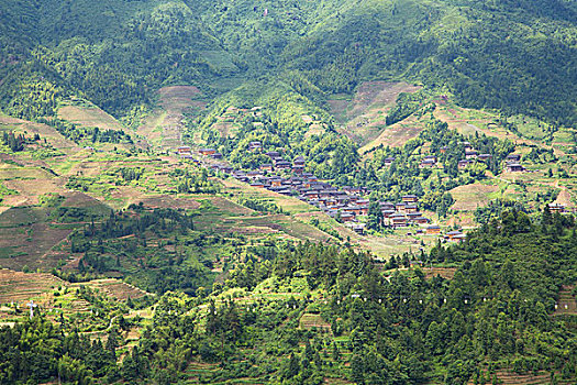soi cau mien phi mien nam