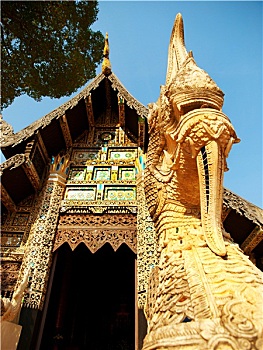 soi cầu bạch thủ hôm nay