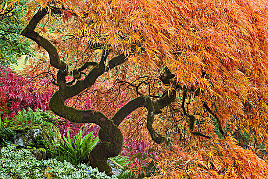 trang đánh số đề uy tín