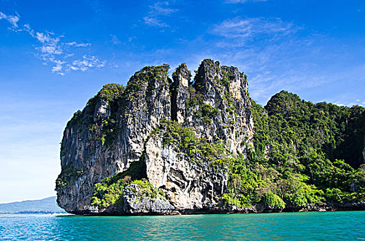 soi cau bach thu