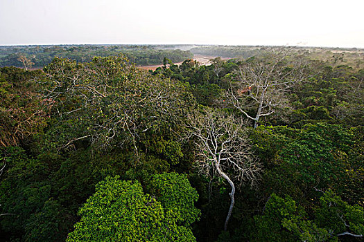 xô sô log an
