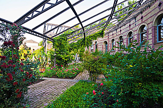 quay thử xổ số đắk lắk