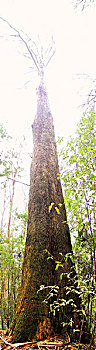 du doan trung thuong xo so mien nam