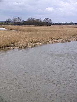 xs bac lieu