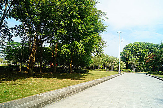 sổ kết quả 30 ngày