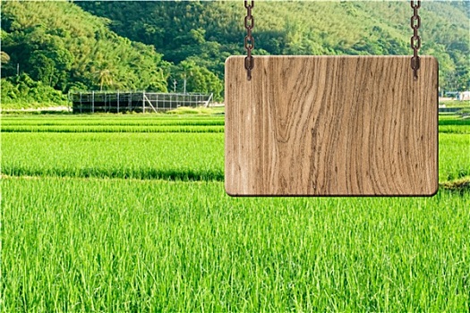quay thử kết quả xổ số miền bắc