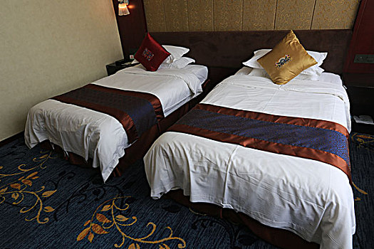 soi câu miễn phí