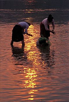 xo so soi cau thong ke