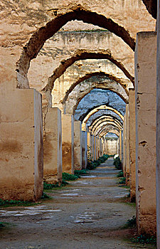soi câu 336