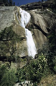 soi cau sieu chuan 888