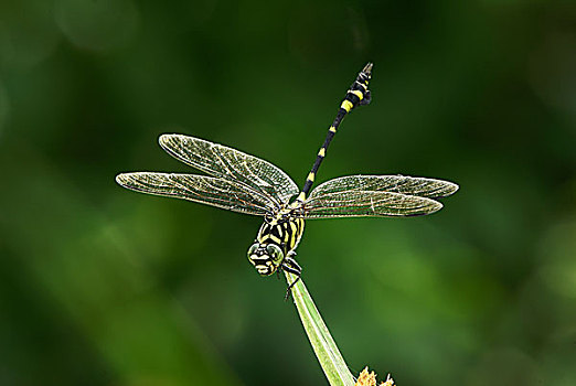 tỷ lệ lô đề