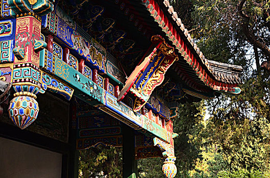 soi cau mb rong bach kim