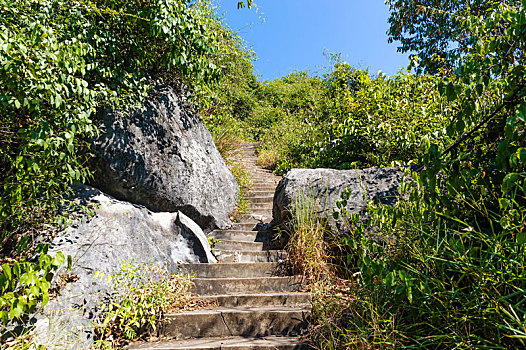 cau rong bach kim