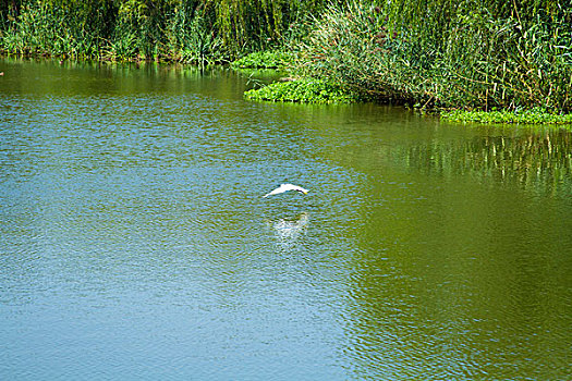 dự đoán lô đề