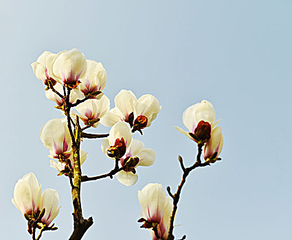 soi cầu đề chuẩn