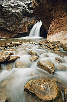 soi cau rong bach kim 247