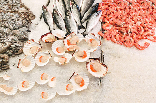 soi cầu tuấn vũ