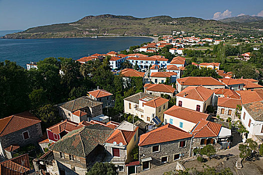du doan atrungroi