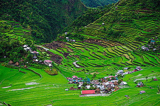 số lô đẹp hôm nay