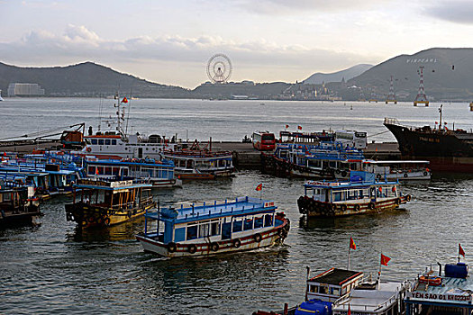 xsmb thu 6 du doan