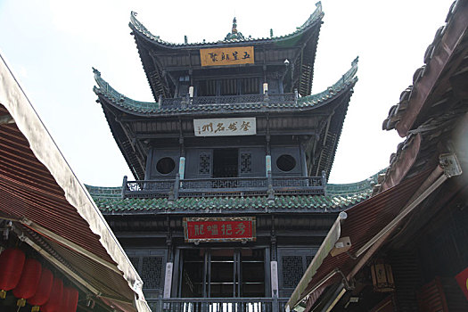 phân tích lô bạch thủ