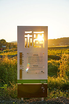 xổ số ngày hôm nay