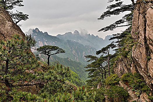 xổ số gia lai hôm nay