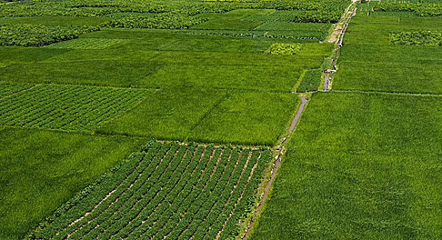 soi cau xsmb minh ngoc