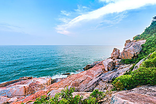 bạch thủ lô miền bắc