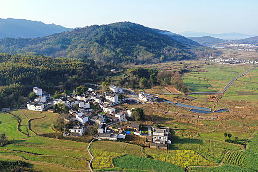 soi cau 2 nhay rong bach kim