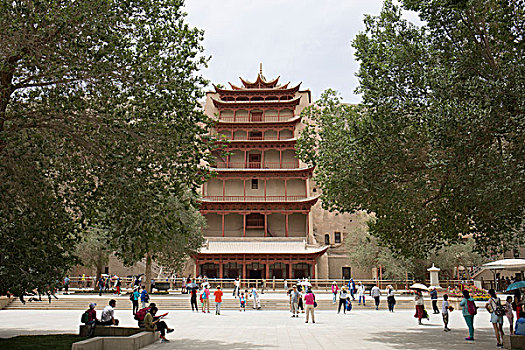 soi câu bach thu