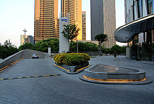 soi cau 6116