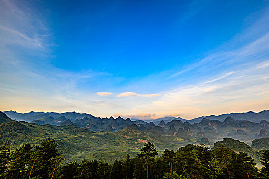 wap du doan