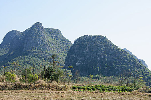 chốt dàn đặc biệt