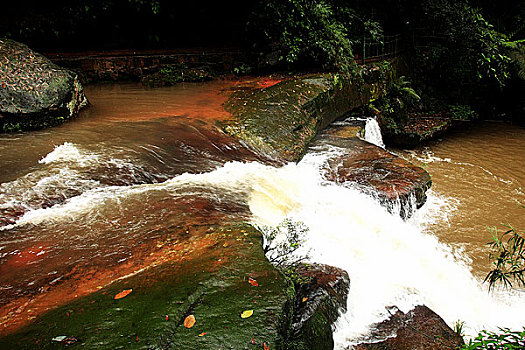 soi cau lo hai nhay rong bach kim