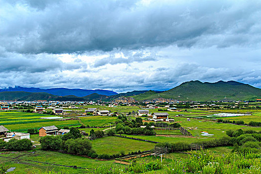 soi cau hay