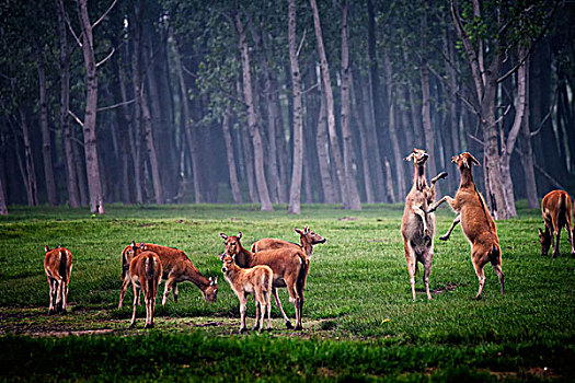 dàn đề ngày hôm nay