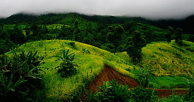 bach thu kep hom nay