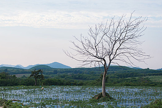 cách soi lô chuẩn