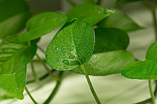 thống kê xổ số đắk lắk