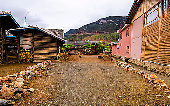 soi câu miền bắc