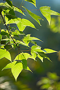 xổ số miền nam thứ 2