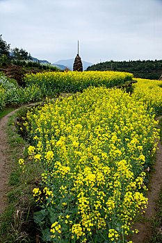 thống kê lô gan