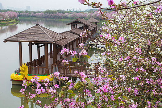 có nên đánh lô đề không