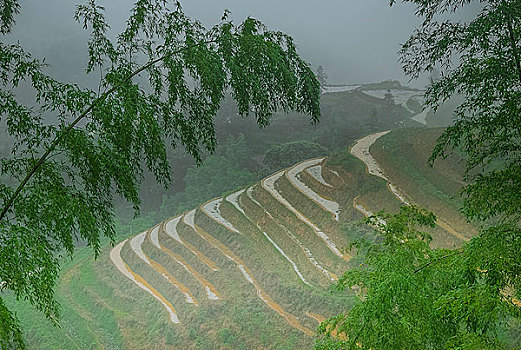 sô xô miên băc hôm nay