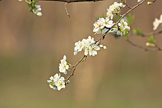 soi cầu xsmb hôm nay