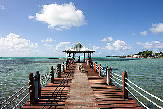 dự đoán lô bạch thủ