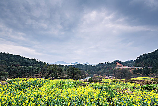 du doan soi cau