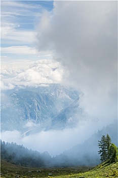 soi câu rong bach kim